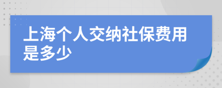 上海個(gè)人交納社保費(fèi)用是多少