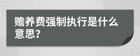 贍養(yǎng)費(fèi)強(qiáng)制執(zhí)行是什么意思？