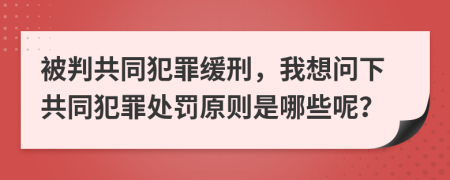 被判共同犯罪緩刑，我想問下共同犯罪處罰原則是哪些呢？