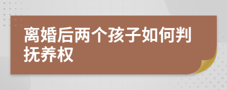 離婚后兩個孩子如何判撫養(yǎng)權(quán)