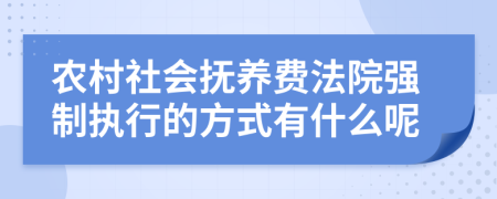 農(nóng)村社會(huì)撫養(yǎng)費(fèi)法院強(qiáng)制執(zhí)行的方式有什么呢