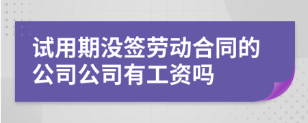 試用期沒簽勞動合同的公司公司有工資嗎