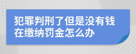 犯罪判刑了但是沒有錢在繳納罰金怎么辦