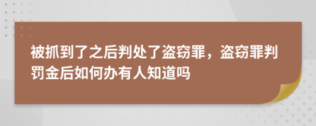 被抓到了之后判處了盜竊罪，盜竊罪判罰金后如何辦有人知道嗎