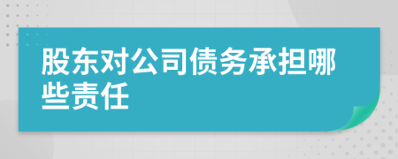 股東對公司債務(wù)承擔(dān)哪些責(zé)任