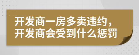 開發(fā)商一房多賣違約，開發(fā)商會(huì)受到什么懲罰
