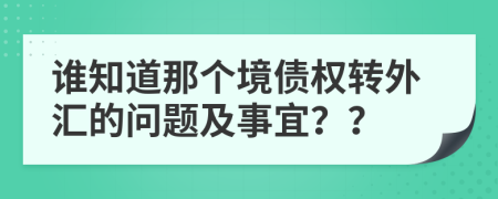 誰知道那個(gè)境債權(quán)轉(zhuǎn)外匯的問題及事宜？？