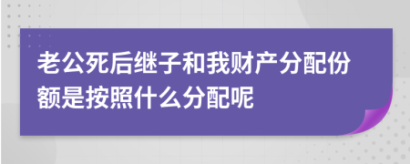 老公死后繼子和我財產(chǎn)分配份額是按照什么分配呢