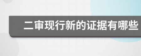 二審現(xiàn)行新的證據(jù)有哪些