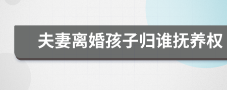 夫妻離婚孩子歸誰撫養(yǎng)權(quán)