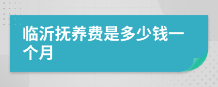 臨沂撫養(yǎng)費(fèi)是多少錢一個(gè)月