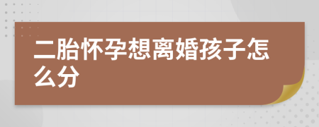 二胎懷孕想離婚孩子怎么分