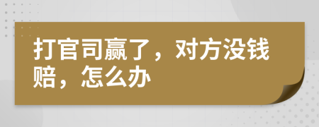 打官司贏了，對(duì)方?jīng)]錢(qián)賠，怎么辦