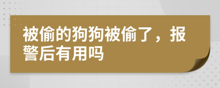 被偷的狗狗被偷了，報(bào)警后有用嗎