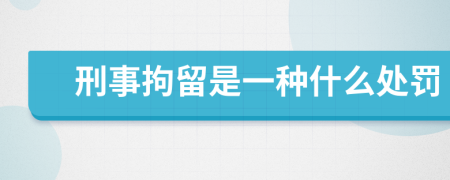刑事拘留是一種什么處罰