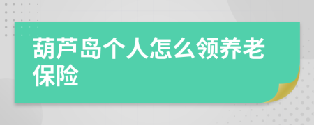 葫蘆島個人怎么領(lǐng)養(yǎng)老保險