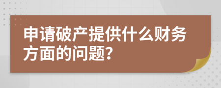 申請破產(chǎn)提供什么財務(wù)方面的問題？