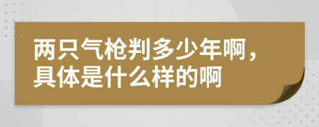 兩只氣槍判多少年啊，具體是什么樣的啊