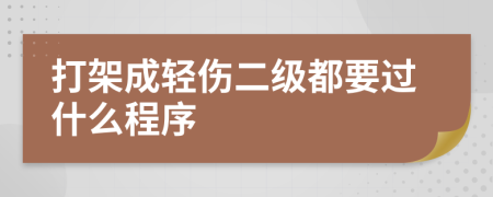 打架成輕傷二級(jí)都要過(guò)什么程序
