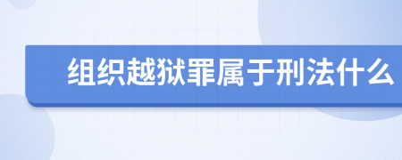 組織越獄罪屬于刑法什么
