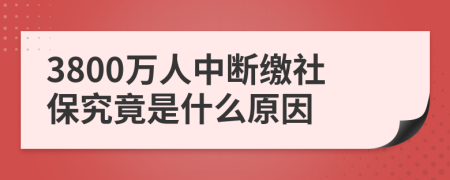 3800萬人中斷繳社保究竟是什么原因