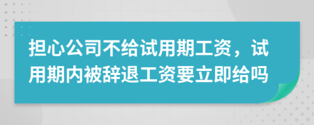 擔(dān)心公司不給試用期工資，試用期內(nèi)被辭退工資要立即給嗎