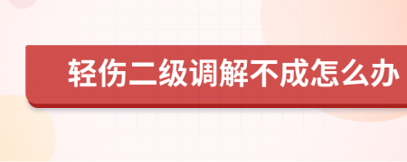 輕傷二級(jí)調(diào)解不成怎么辦