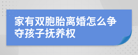 家有雙胞胎離婚怎么爭(zhēng)奪孩子撫養(yǎng)權(quán)