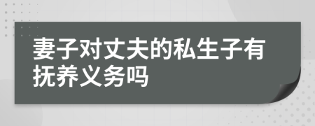 妻子對(duì)丈夫的私生子有撫養(yǎng)義務(wù)嗎