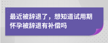 最近被辭退了，想知道試用期懷孕被辭退有補(bǔ)償嗎