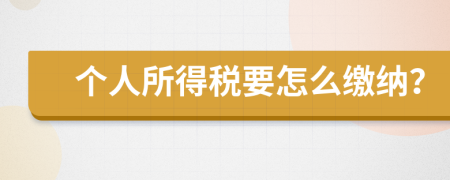 個(gè)人所得稅要怎么繳納？