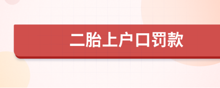 二胎上戶口罰款