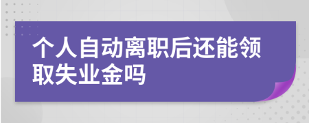 個人自動離職后還能領(lǐng)取失業(yè)金嗎