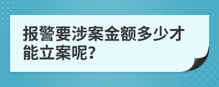 報(bào)警要涉案金額多少才能立案呢？