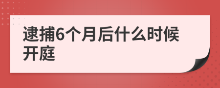 逮捕6個(gè)月后什么時(shí)候開庭