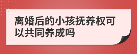 離婚后的小孩撫養(yǎng)權(quán)可以共同養(yǎng)成嗎