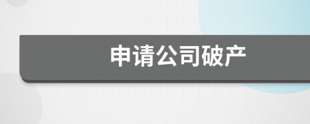 申請公司破產(chǎn)