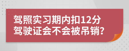 駕照實(shí)習(xí)期內(nèi)扣12分駕駛證會(huì)不會(huì)被吊銷(xiāo)？