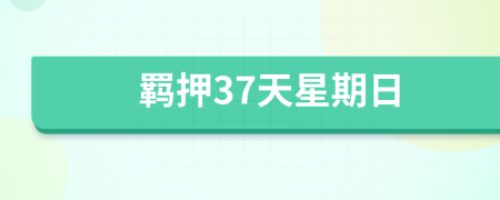 羈押37天星期日