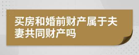 買房和婚前財(cái)產(chǎn)屬于夫妻共同財(cái)產(chǎn)嗎