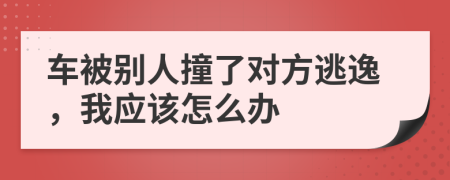 車被別人撞了對方逃逸，我應(yīng)該怎么辦