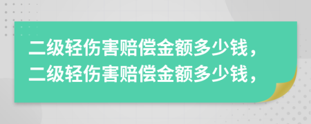 二級輕傷害賠償金額多少錢，二級輕傷害賠償金額多少錢，