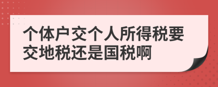 個體戶交個人所得稅要交地稅還是國稅啊