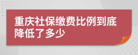 重慶社保繳費比例到底降低了多少