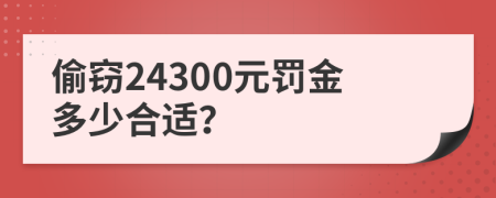 偷竊24300元罰金多少合適？