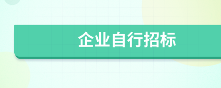 企業(yè)自行招標