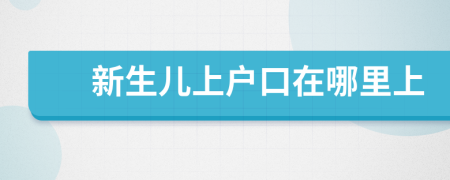 新生兒上戶口在哪里上
