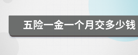 五險(xiǎn)一金一個(gè)月交多少錢