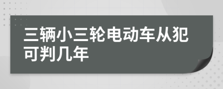 三輛小三輪電動(dòng)車從犯可判幾年