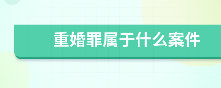 重婚罪屬于什么案件